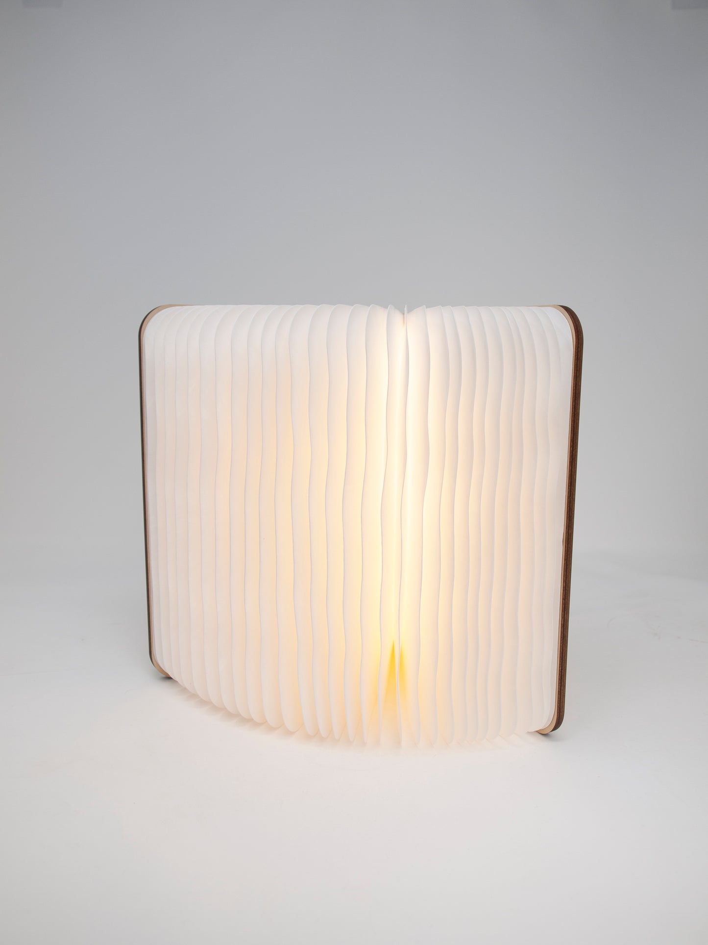 Smart Book Light with Camino Shell