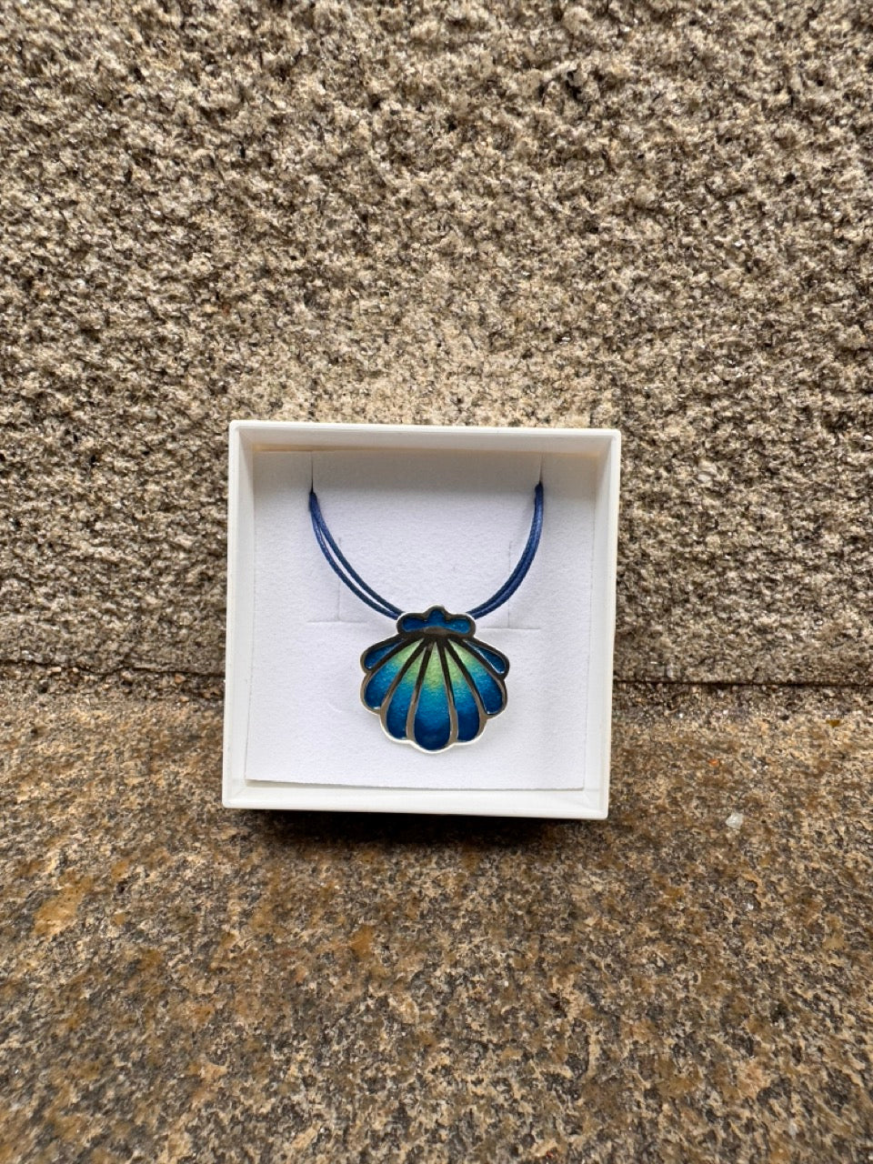 Silver Shell with Green to blue colour
