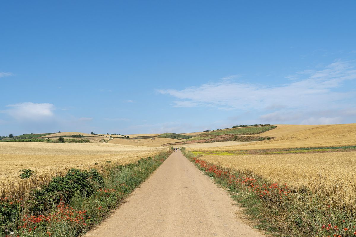 Cicerone: 2 books in 1 - Camino Frances Guide & Map Guide - includes Finisterre finish (W/FREE Passport)