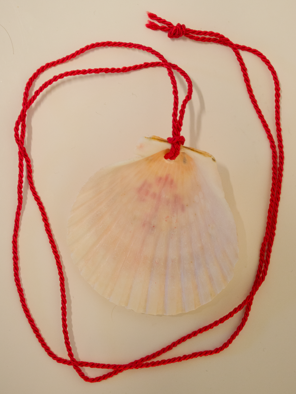 Camino Pilgrim shell