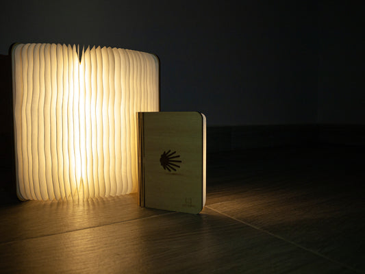 Smart Book Light with Camino Shell