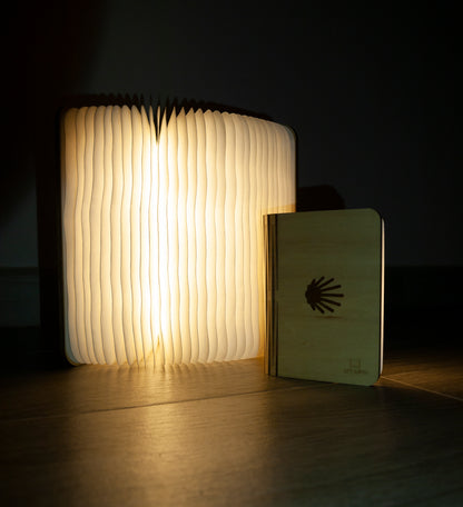 Smart Book Light with Camino Shell