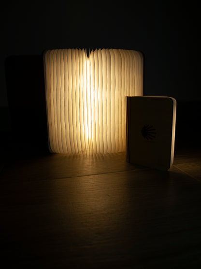 Smart Book Light with Camino Shell