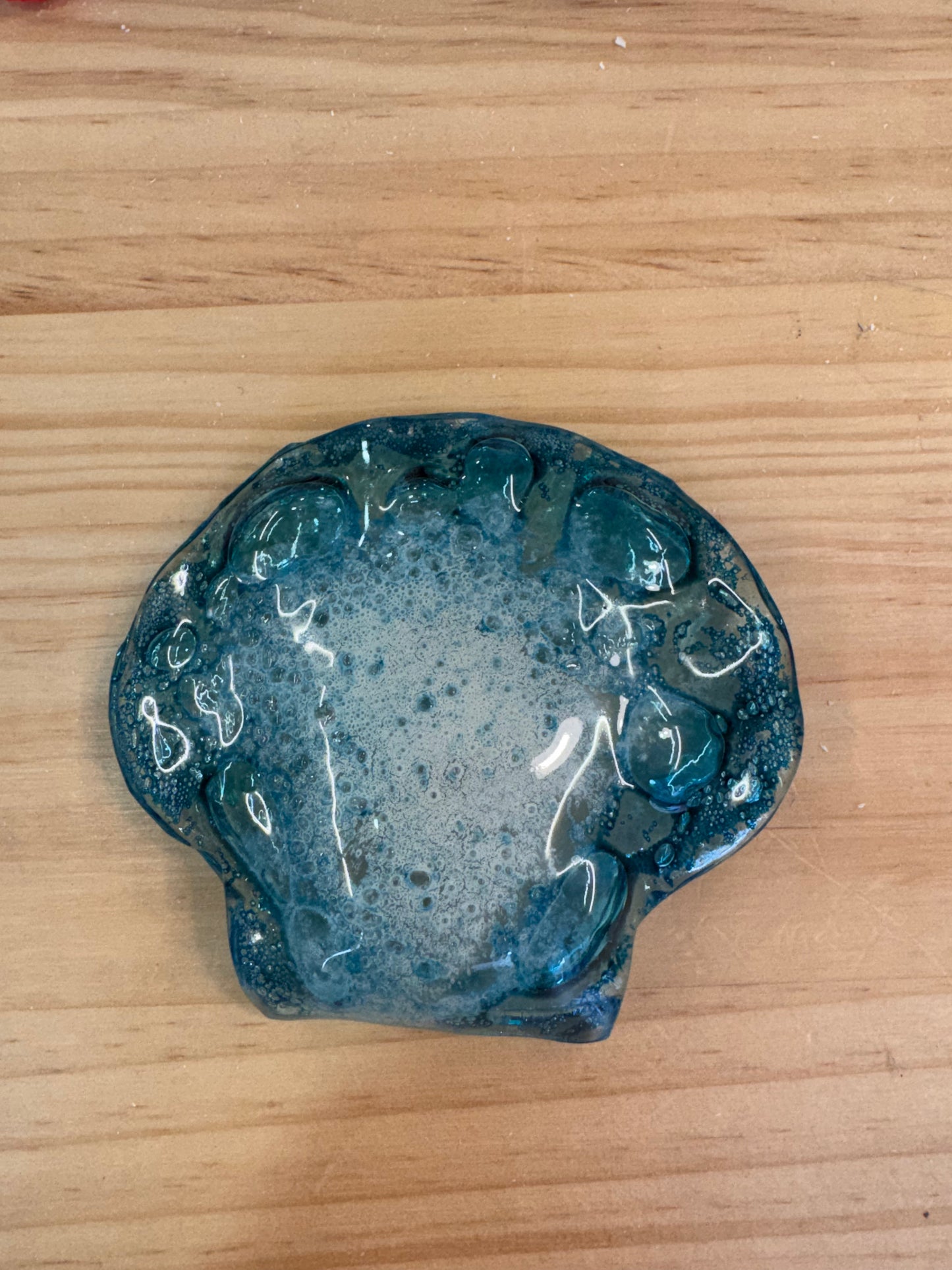 Hand made Glass Shell