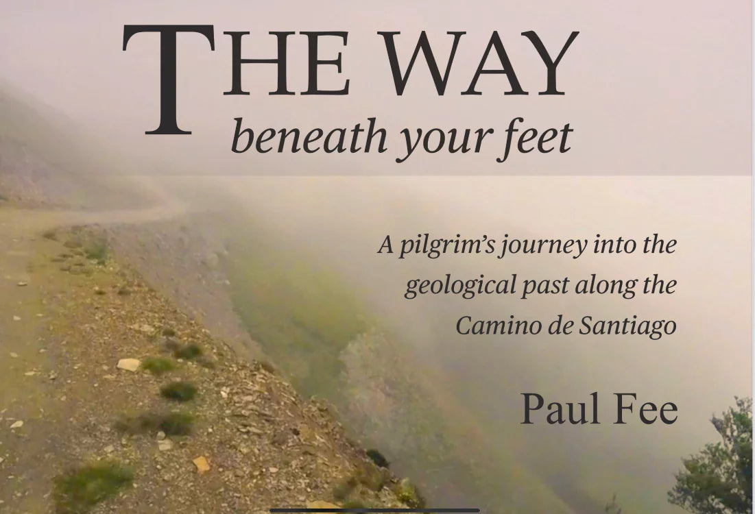 A pilgrim's journey into the geological past along the Camino de Santiago