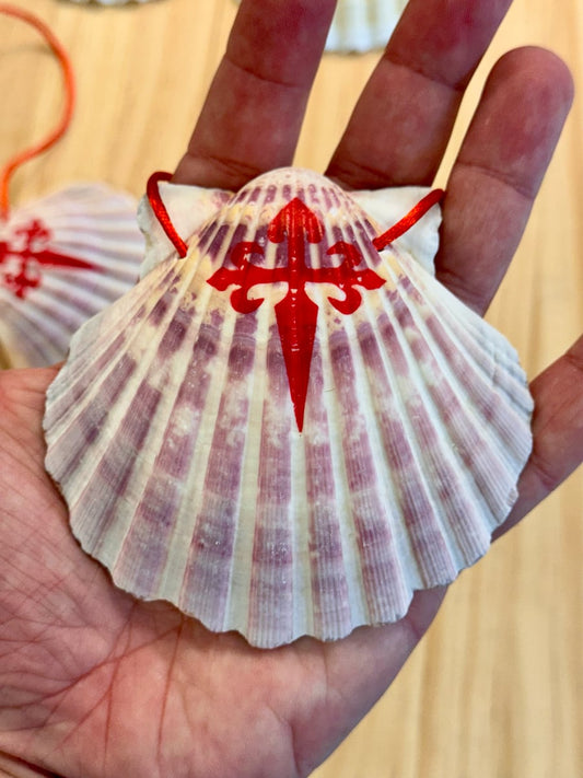 Camino Shell from Galicia