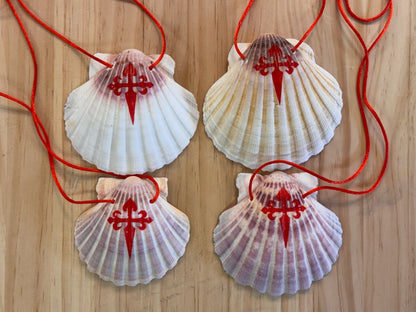 Camino Shell from Galicia