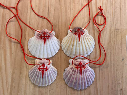 Camino Shell from Galicia