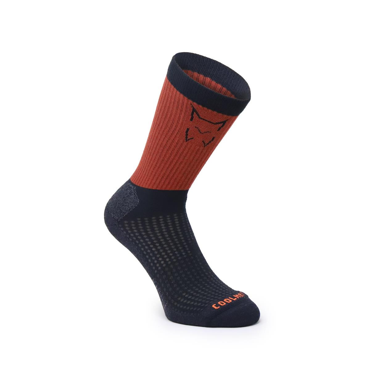 Altus CASPIO Coolmax sock