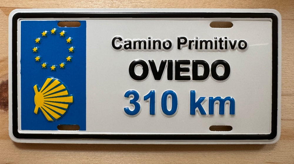Camino magnet - Where did you walk from?