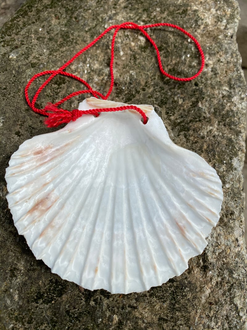 Camino Pilgrim shell (without the red cross)