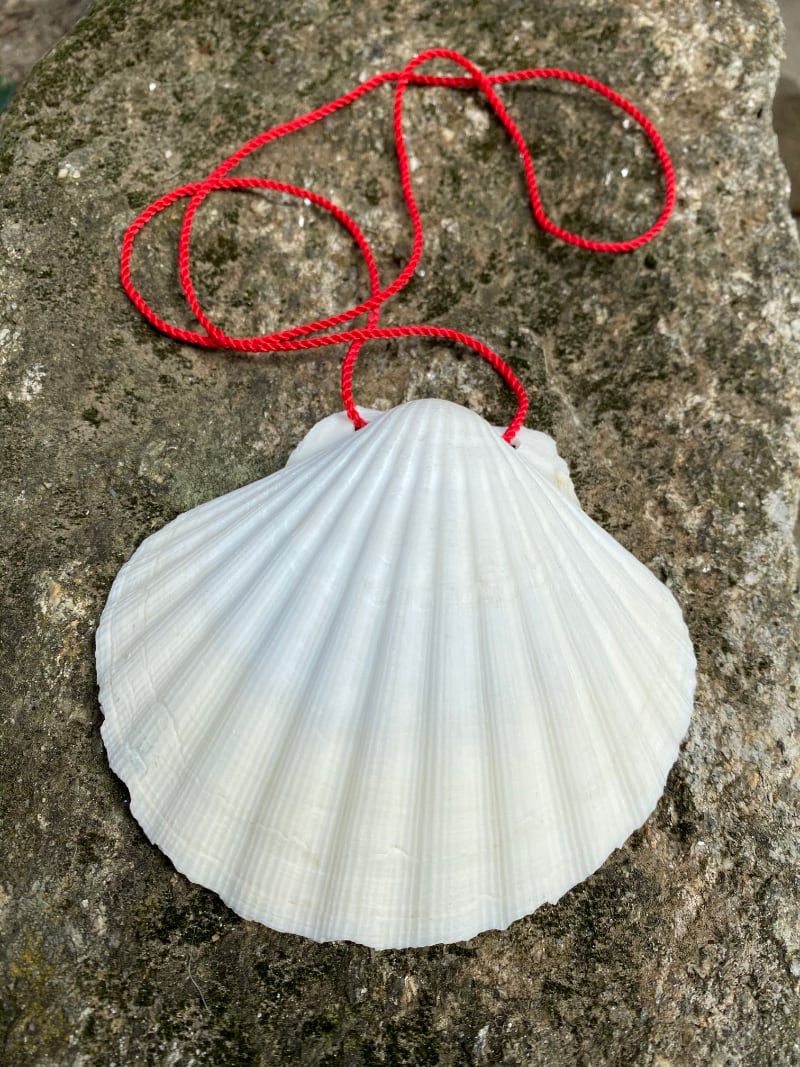 Camino Pilgrim shell (without the red cross)