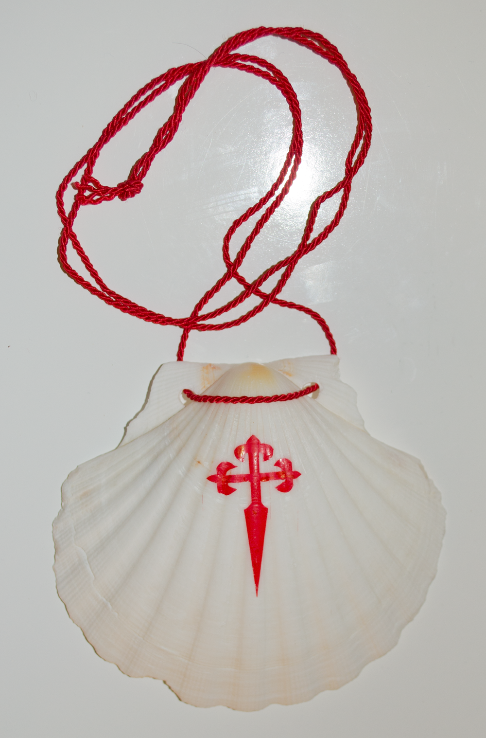 Camino Pilgrim shell – Camino Forum Store